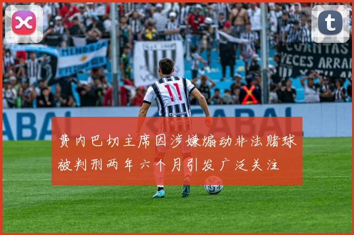 费内巴切主席因涉嫌煽动非法赌球被判刑两年六个月引发广泛关注